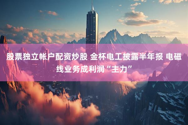 股票独立帐户配资炒股 金杯电工披露半年报 电磁线业务成利润“主力”